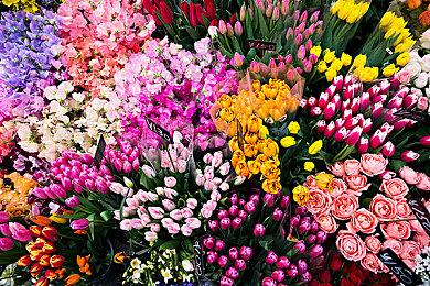 CDPR游戏总监：开发用AI省钱 将会导致游戏质量下降